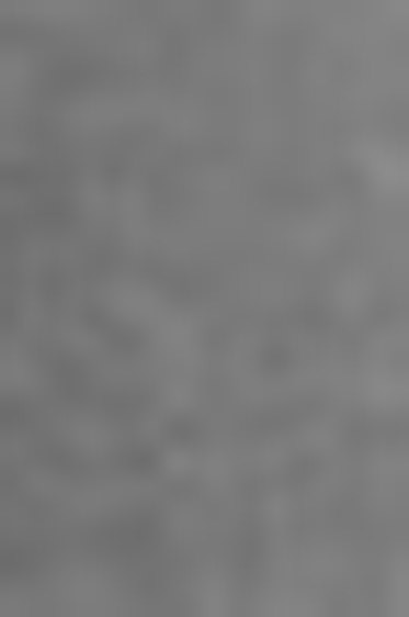 Schmincke Horadam Aquarell: Schmincke Payne's Grey 5ml