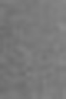 Schmincke Horadam Aquarell: Schmincke Payne's Grey 5ml