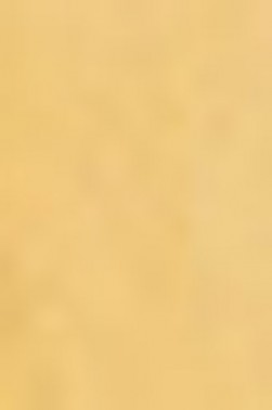 Schmincke Horadam Aquarell: Yellow Raw Ochre 5ml