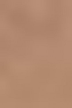 Schmincke Horadam Aquarell: Burnt Umber HP