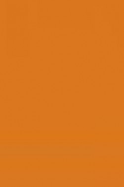 Winsor & Newton Cotman Watercolor: Raw Sienna half pan