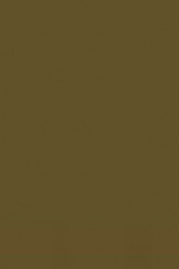 Winsor & Newton Cotman Watercolor: Raw Umber half pan