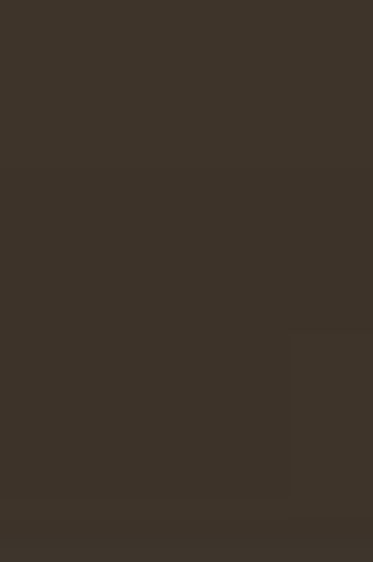 Winsor & Newton Cotman Watercolor: Vandyke Brown half pan Opaque