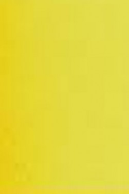 Schmincke Horadam Aquarell: Transparent Yellow 5ml