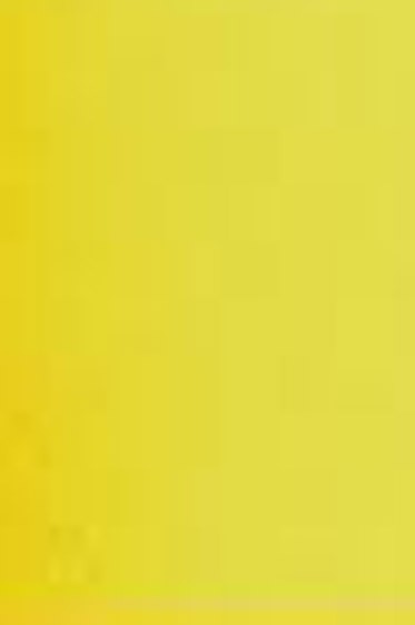 Schmincke Horadam Aquarell: Green Yellow 5ml