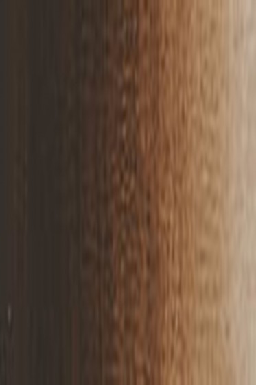 Weber Prima Artist Quality Acrylic: Raw Umber 118ml