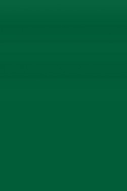 Winsor & Newton Fine Watercolor: Blackish Green 10ml