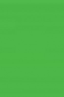 Winsor & Newton Fine Watercolor: Permanent Green Light  10ml