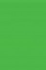 Winsor & Newton Fine Watercolor: Permanent Green Light  10ml