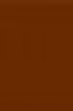 Winsor & Newton Fine Watercolor: Red Ochre 10ml