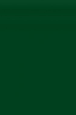 Winsor & Newton Fine Watercolor: Terre Verte 10ml