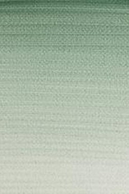 Winsor & Newton Artist Watercolor: Terre Verte 14ml