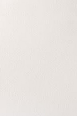 Winsor & Newton Artist Watercolor: Titanium White 14ml