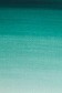 Winsor & Newton Artist Watercolor: Viridian 14ml