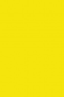 Magi Wap Oil: Hansa Yellow 60ml