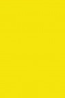 Magi Wap Oil: Hansa Yellow 60ml