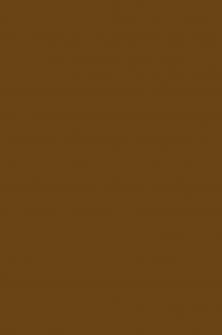 Magi Wap Oil: Raw Sienna 60ml