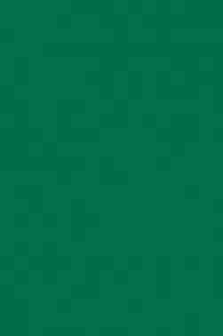 Derivan Face & Body Paint: Green  250ml