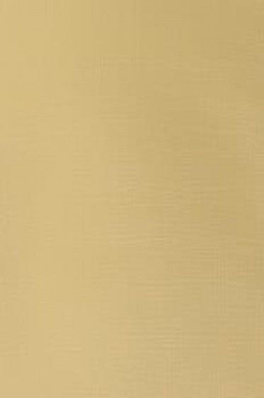 Winsor & Newton Galleria Acrylic: Buff Titanium  250ml
