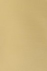 Winsor & Newton Galleria Acrylic: Buff Titanium  250ml