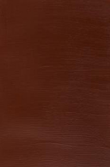 Winsor & Newton Galleria Acrylic: Burnt Sienna 60ml