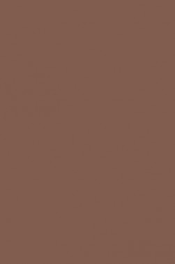 Liquitex Spray Paint: Burnt Sienna 400ml