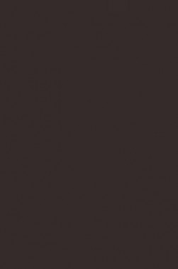 Liquitex Spray Paint: Burnt Umber 400ml