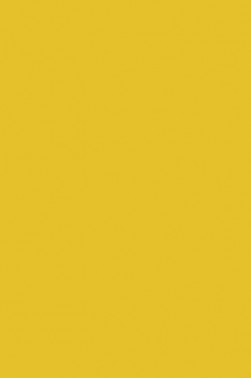 Liquitex Spray Paint: Cadmium Yellow Medium Hue 400ml