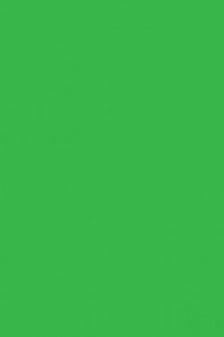 Liquitex Spray Paint: Flourescent Green 400ml