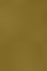 Liquitex Spray Paint: Iridescent Antique Gold 400ml
