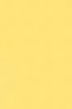 Liquitex Spray Paint: Naples Yellow 400ml