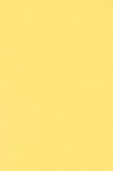 Liquitex Spray Paint: Naples Yellow 400ml