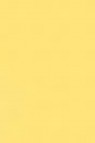 Liquitex Spray Paint: Naples Yellow 400ml