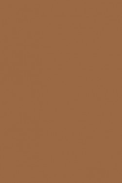 Liquitex Spray Paint: Raw Sienna 400ml