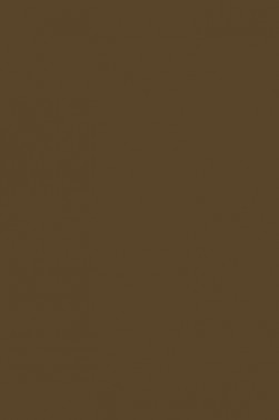 Liquitex Spray Paint: Raw Umber 400ml