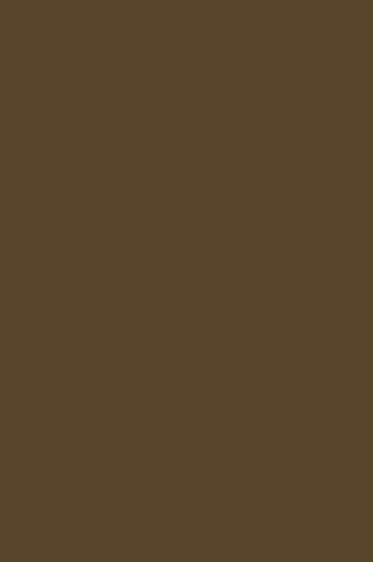 Liquitex Spray Paint: Raw Umber 400ml