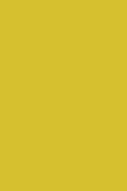 Liquitex Spray Paint: Yellow Medium Azo 400ml