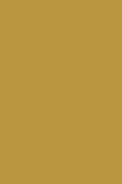 Liquitex Spray Paint: Yellow Oxide 400ml