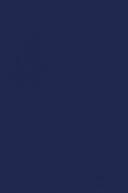 Liquitex Spray Paint: Dioxazine Purple 400ml