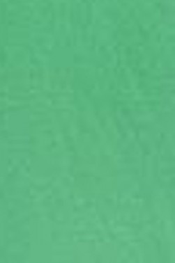 Snazaroo Face Paint: Classic Color Bright Green 18ml