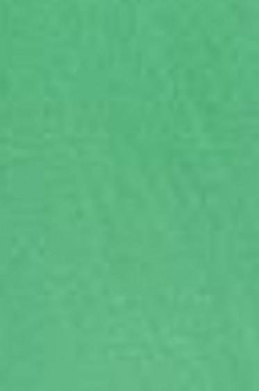 Snazaroo Face Paint: Classic Color Bright Green 18ml