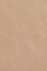 Snazaroo Face Paint: Classic Color Barely Beige 18ml