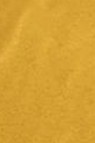Snazaroo Face Paint: Classic Color Gold 18ml