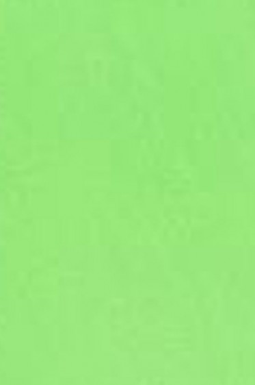 Snazaroo Face Paint: Classic Color Lime Green 18ml