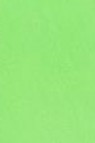 Snazaroo Face Paint: Classic Color Lime Green 18ml