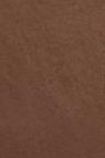Snazaroo Face Paint: Classic Color  Light Brown 18ml