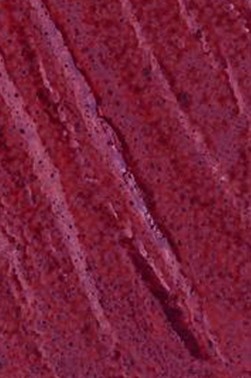 Snazaroo Face Paint: Classic Color Maroon 18ml