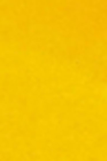 RF Pigment Stick: Cadmium Yellow Deep 38ml