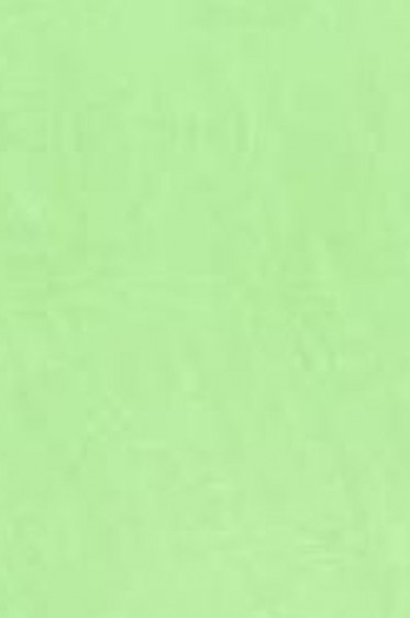 Snazaroo Face Paint: Classic Color Pale Green 18ml