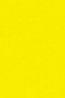 R&F Pigment Stick: Cadmium Yellow Light 38ml